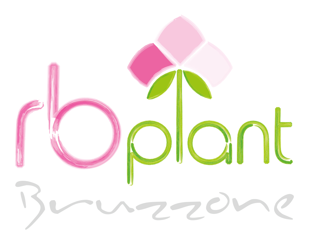 Rb Plant Bruzzone