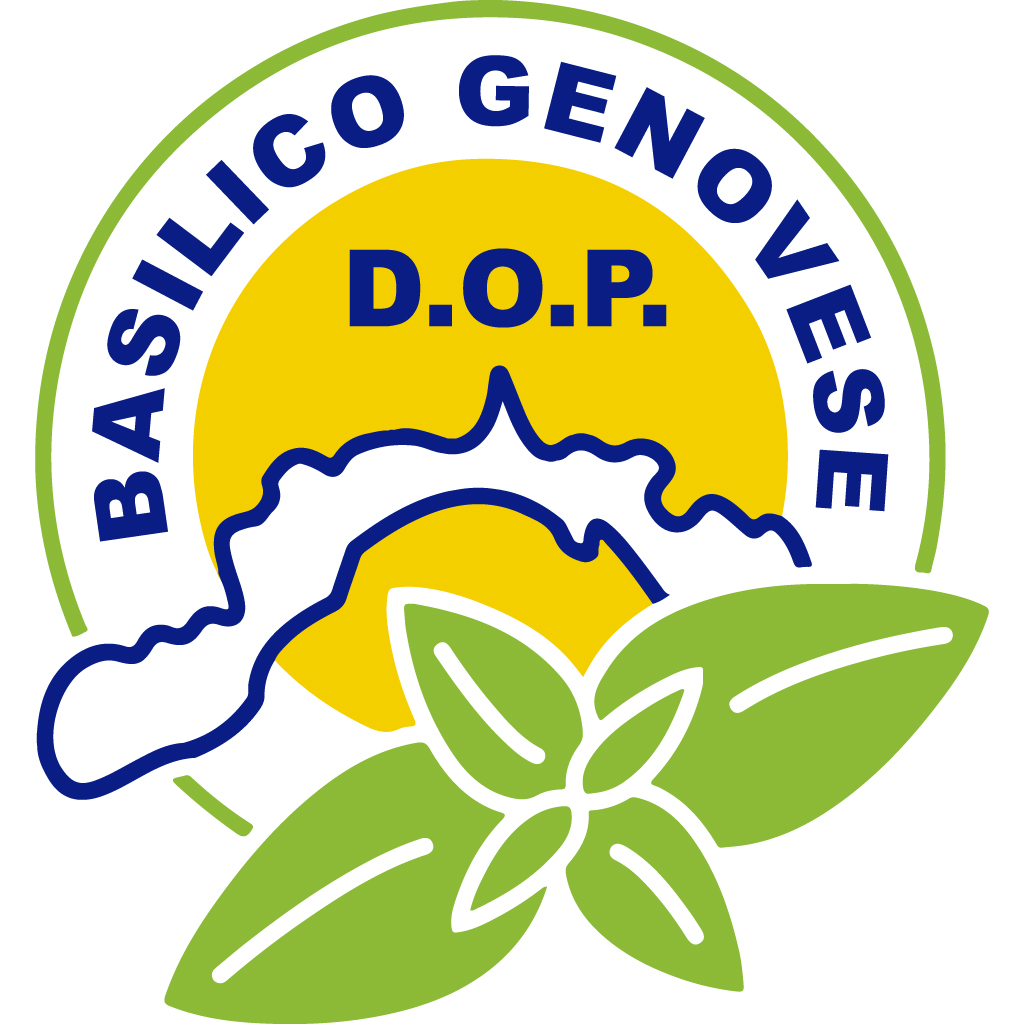 Basilico Genovese Dop