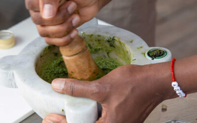 Campionato Mondiale di Pesto Genovese al Mortaio®: Aromatica 2025 tappa ufficiale della sfida più gustosa