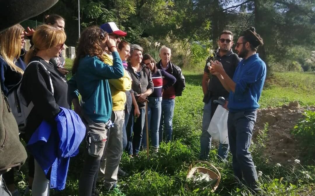 Con Alessandro Di Tizio alla scoperta del mondo delle erbe spontanee