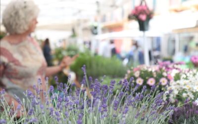 Da domani a domenica, Diano Marina diventa Aromatica